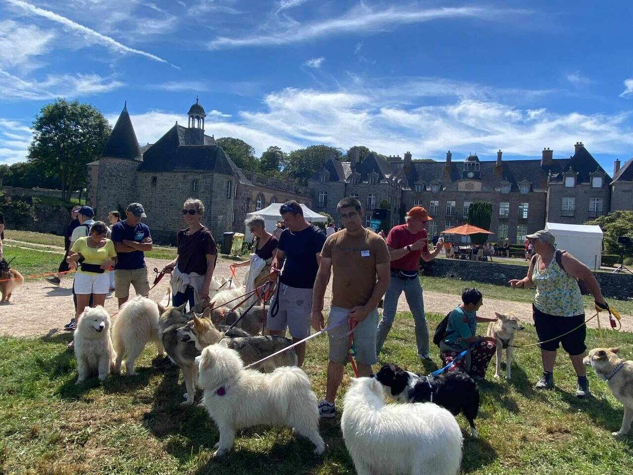 Ouaf ! Festival