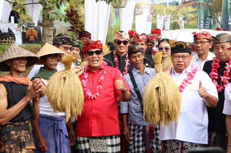 Jatiluwih Festival VII