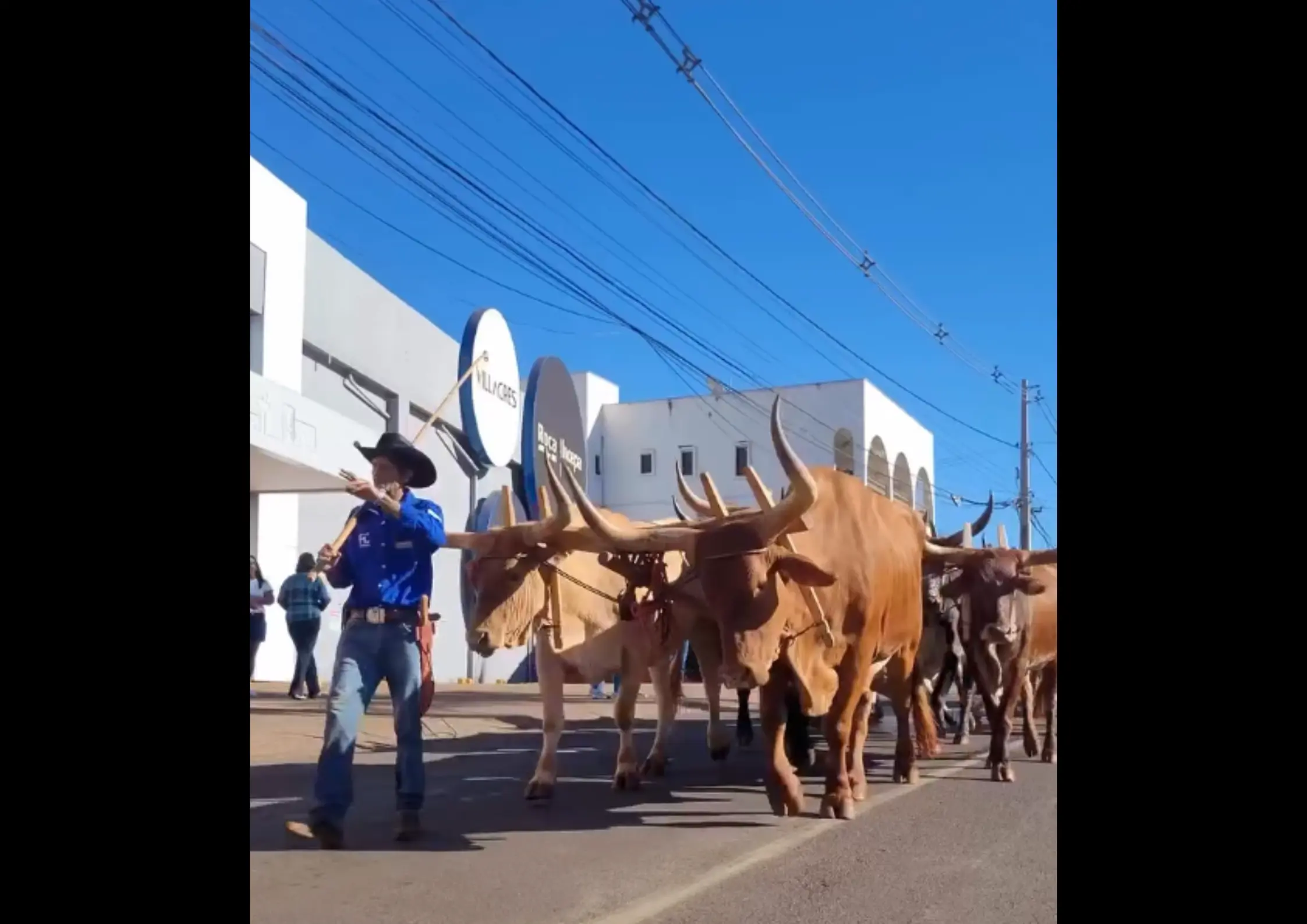 Expo Rio Verde 2026