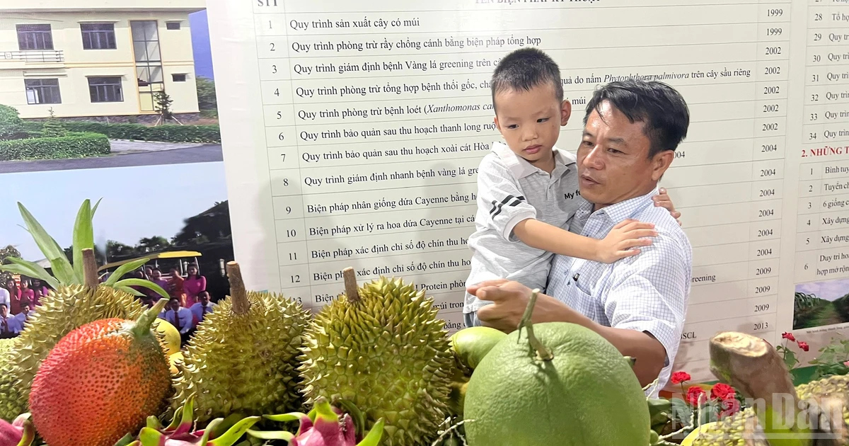 Lễ hội Trái cây tỉnh Đồng Tháp lần thứ I năm 2026