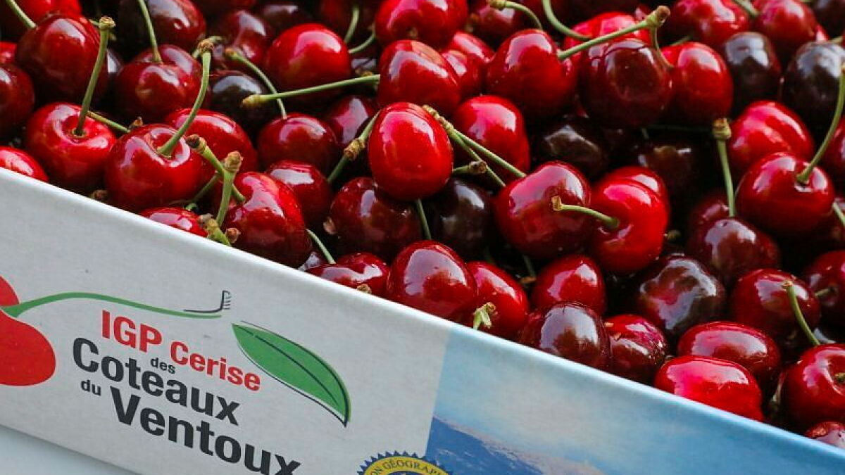 Fête du terroir et de la cerise de Malemort-du-Comtat