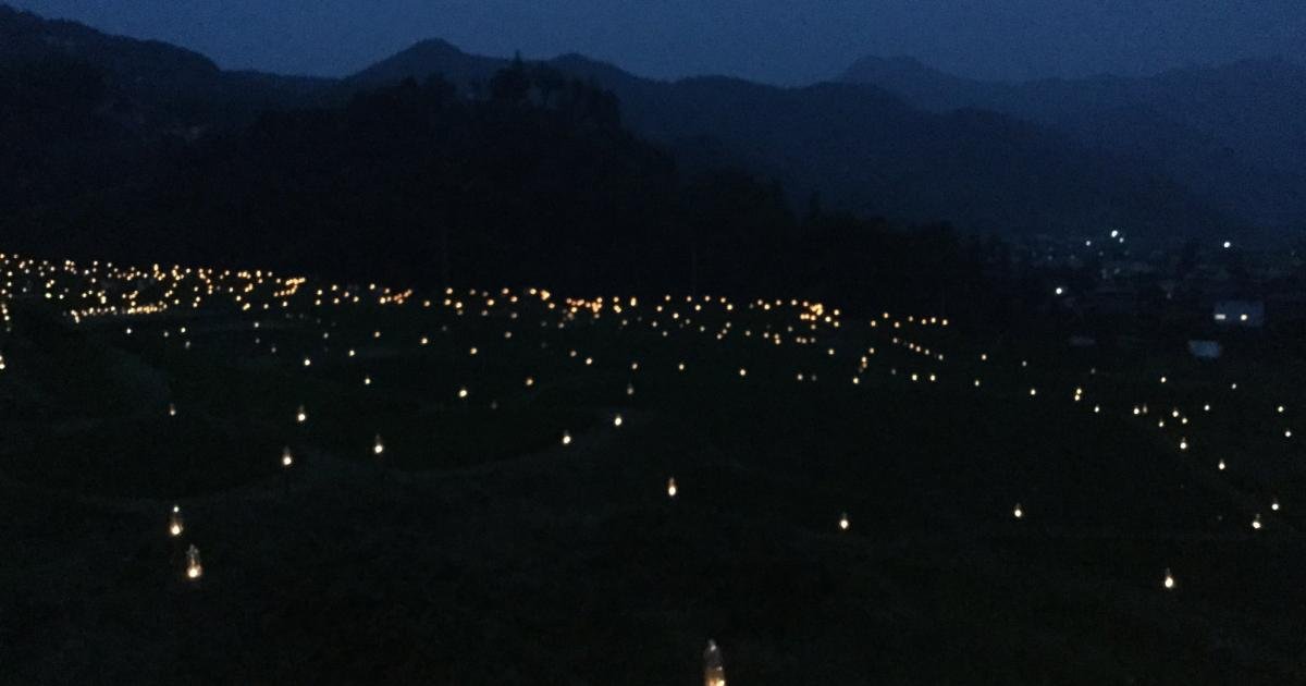 Terasaka Firefly Festival