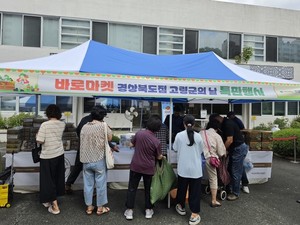 개진감자 특별판매전
