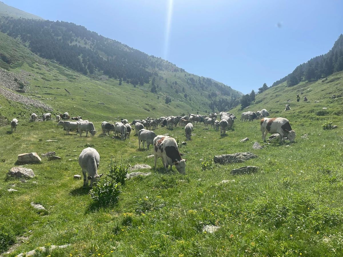 Fermes en Fête