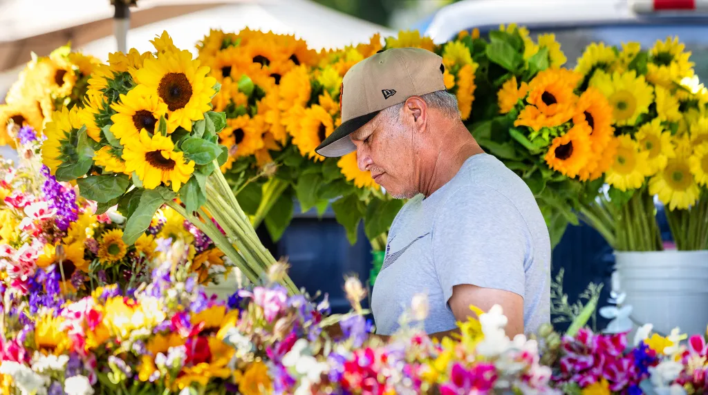 Sonoma's Tuesday Night Market