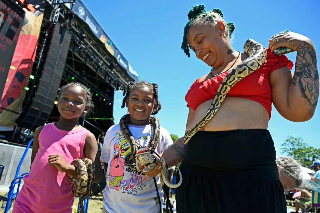 AFRAM festival
