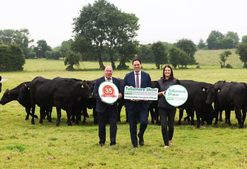 Tullamore Show and FBD National Livestock Show