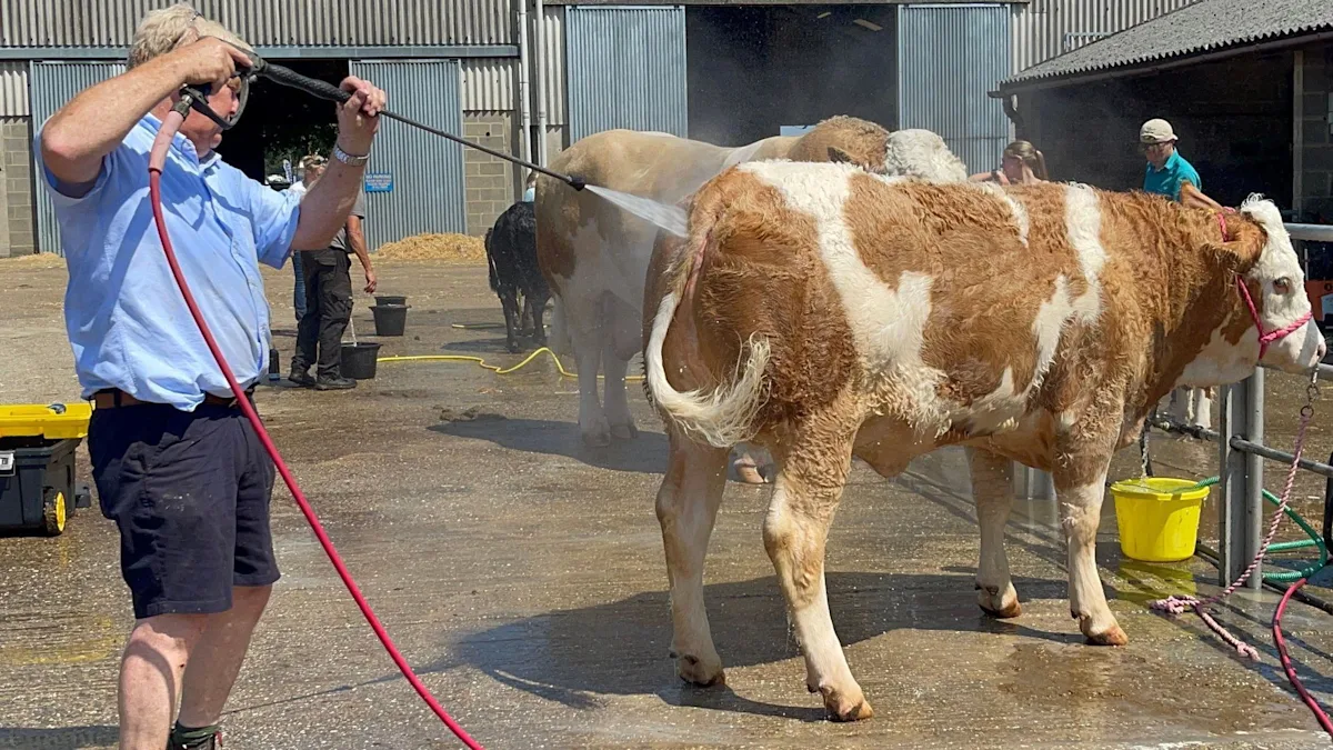 Royal Norfolk Show
