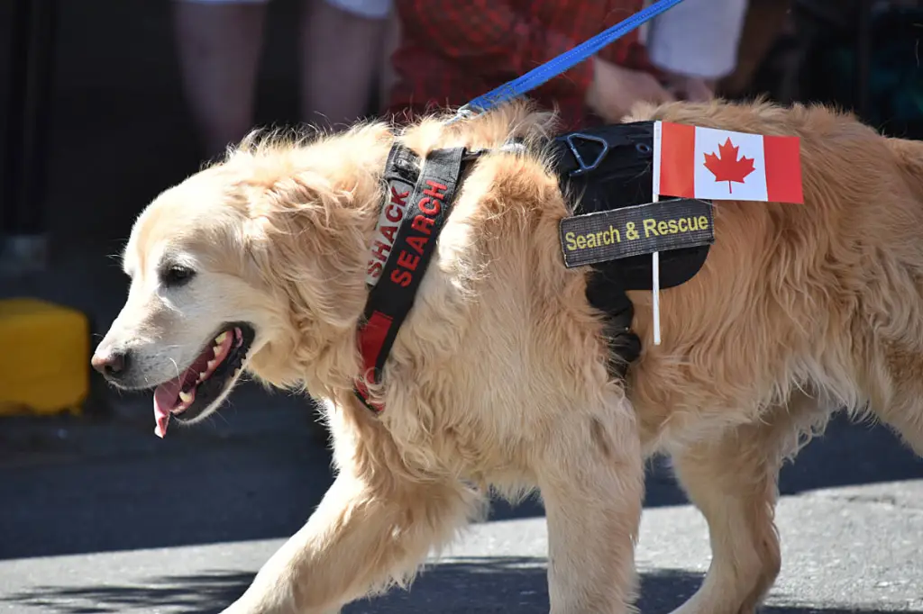 Canada Day celebrations