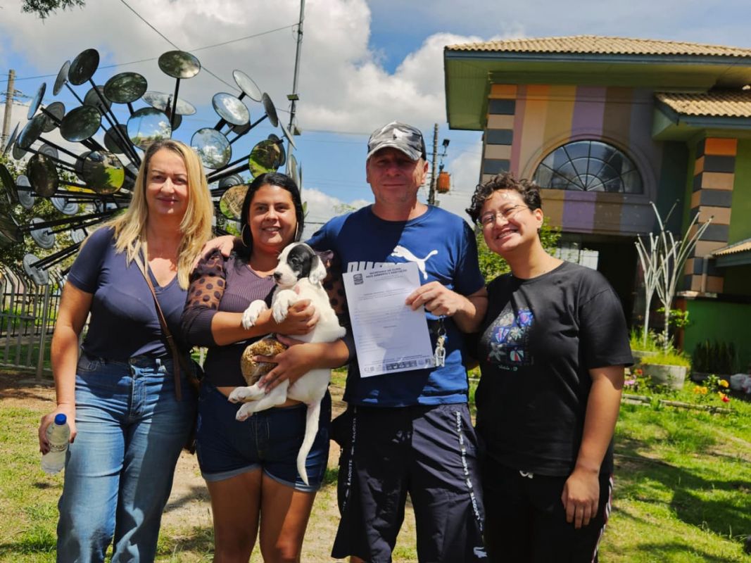 Projeto Tigela Cheia