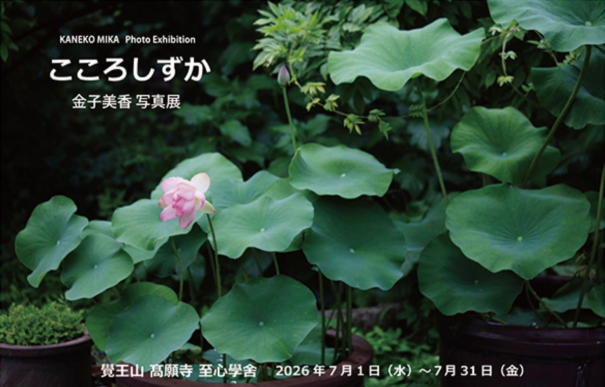 金子美香 写真展「こころしずか」