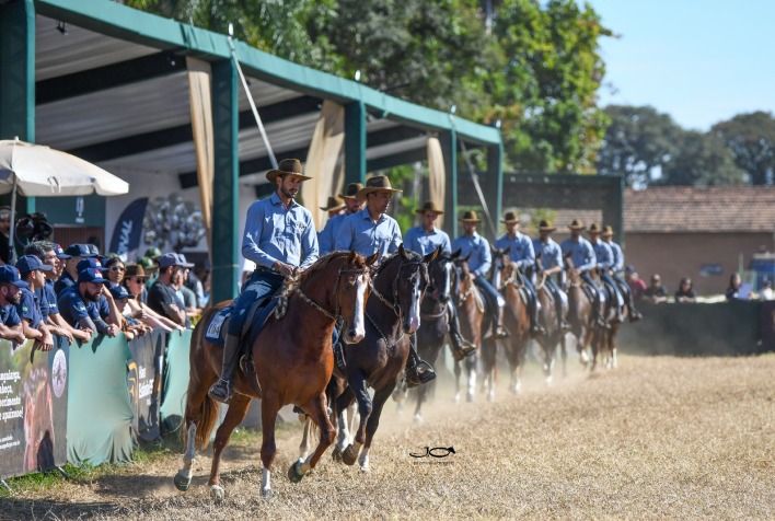48ª Exposição Nacional do Cavalo Mangalarga