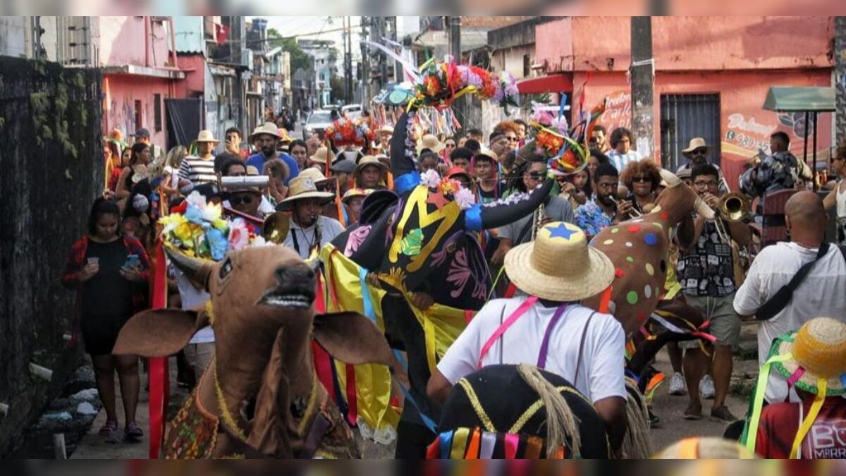 Mostra Ecocultural Tucunduba Verde e Resiliente