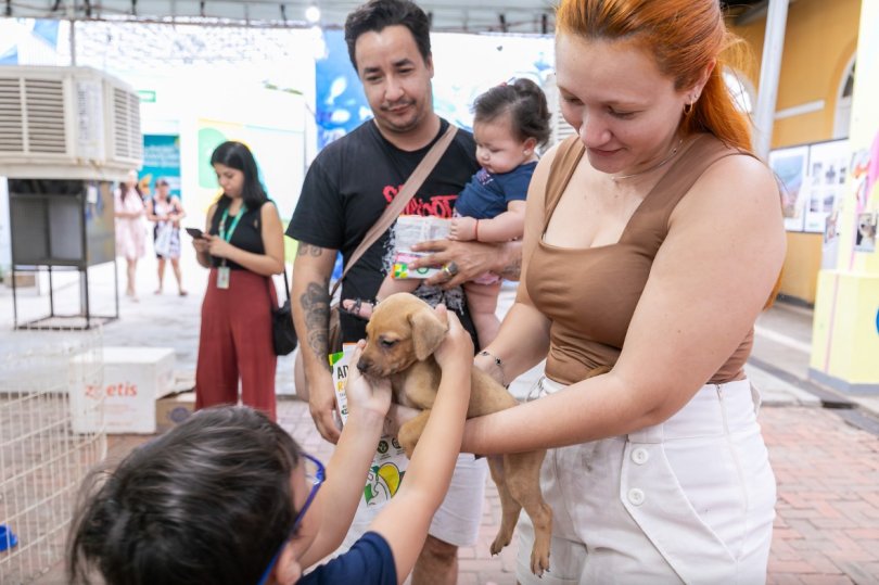 Feira de Adoção e Pré-cadastro de Vacinação
