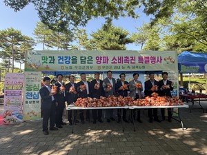 무안 연꽃축제
