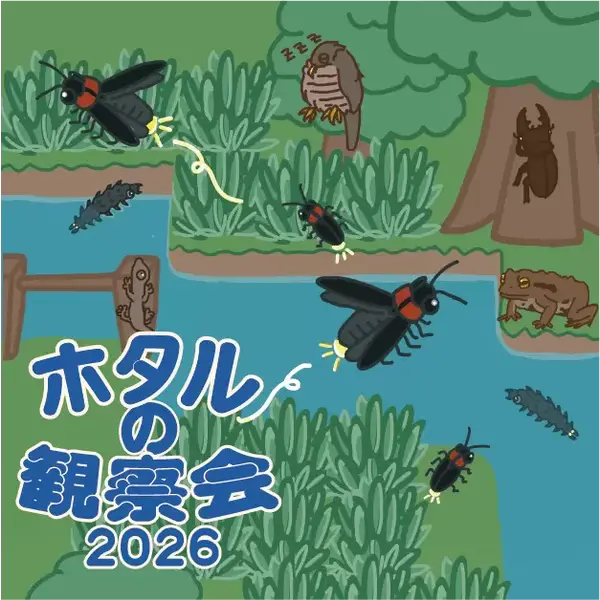 ホタルの観察会2026