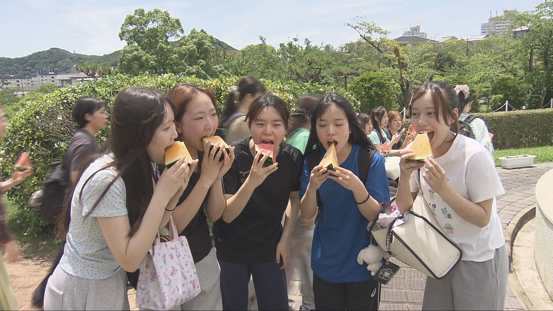 すいか祭り