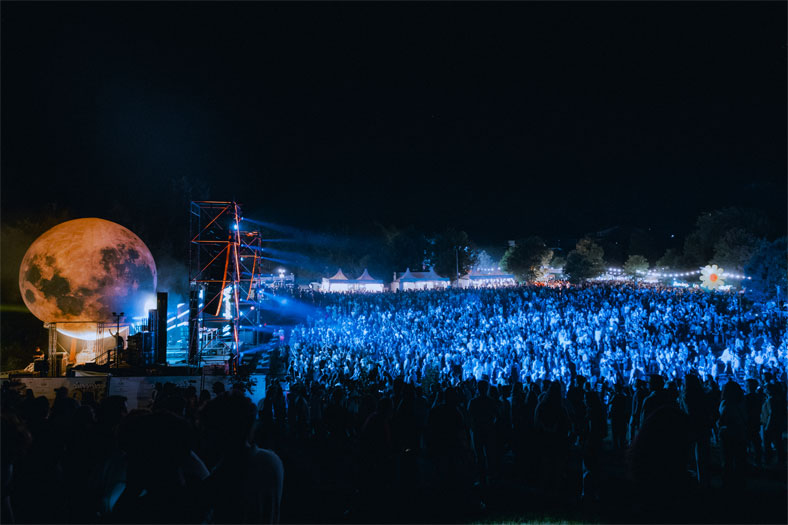 Electronic BBQ