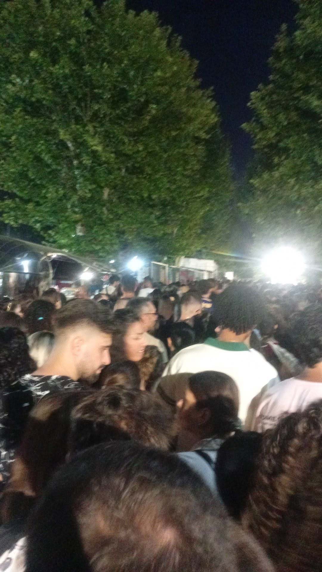Concerto di Romeo Santos e Prince Royce