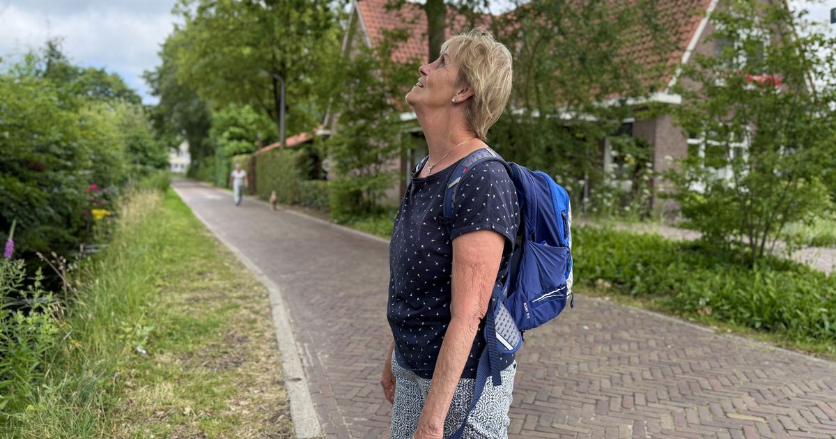 Nijmeegse Vierdaagse