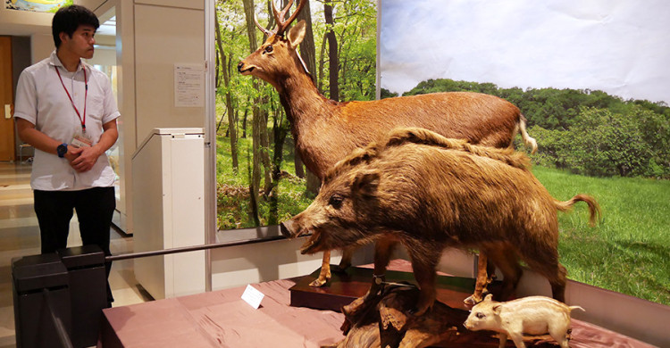 「里山の動物」知る特別展