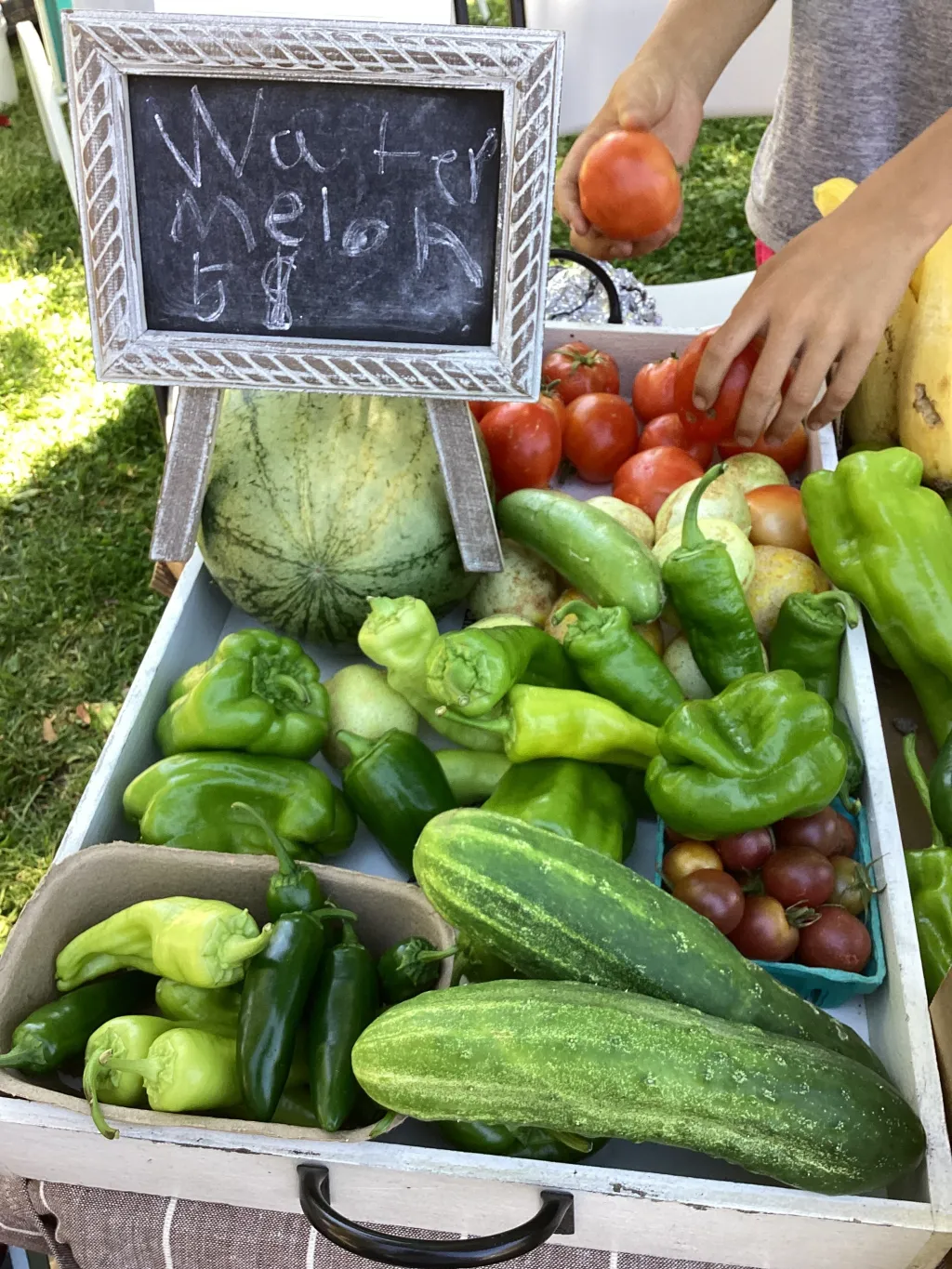 Kids’ Farmer’s Market
