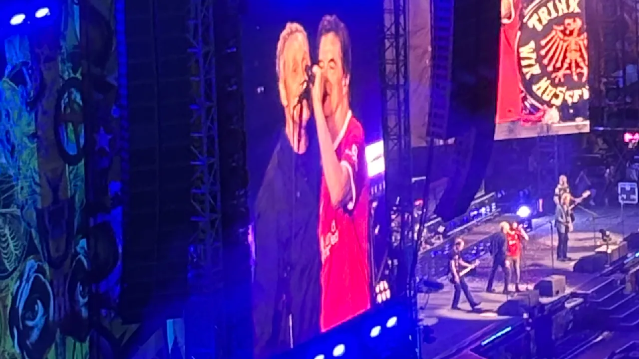 Konzert der Toten Hosen