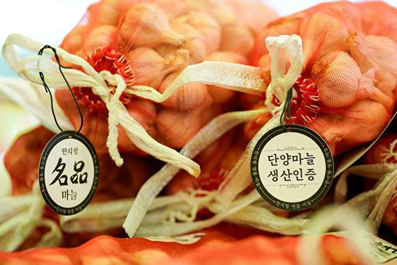 Danyang Garlic Festival
