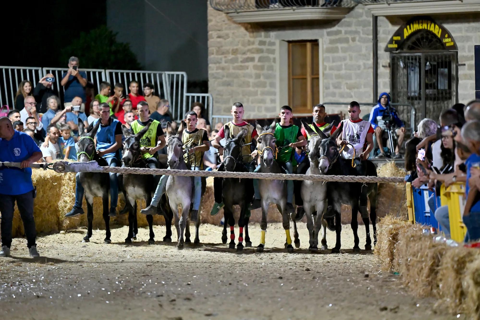 Palio degli Asinelli 2026