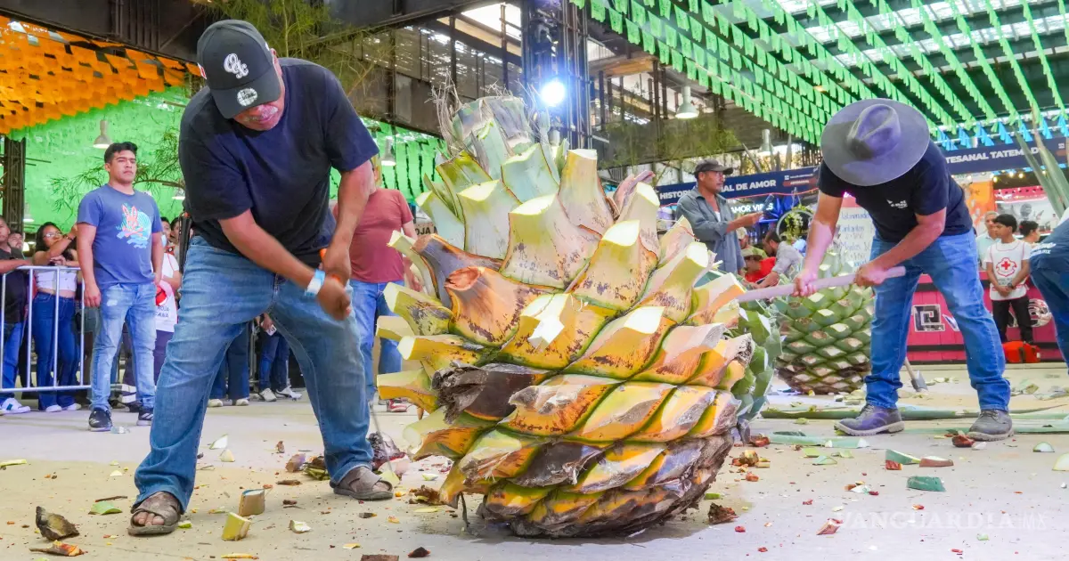 Feria del Mezcal Oaxaca 2026