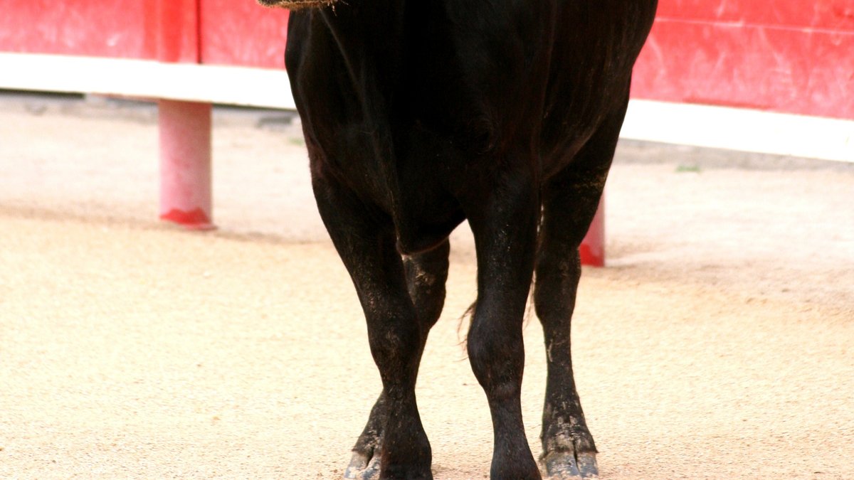 Fête votive de Bernis