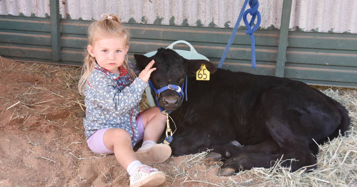 Charters Towers Show