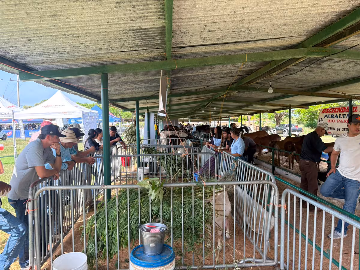 Feria Nacional del Concurso Lechero