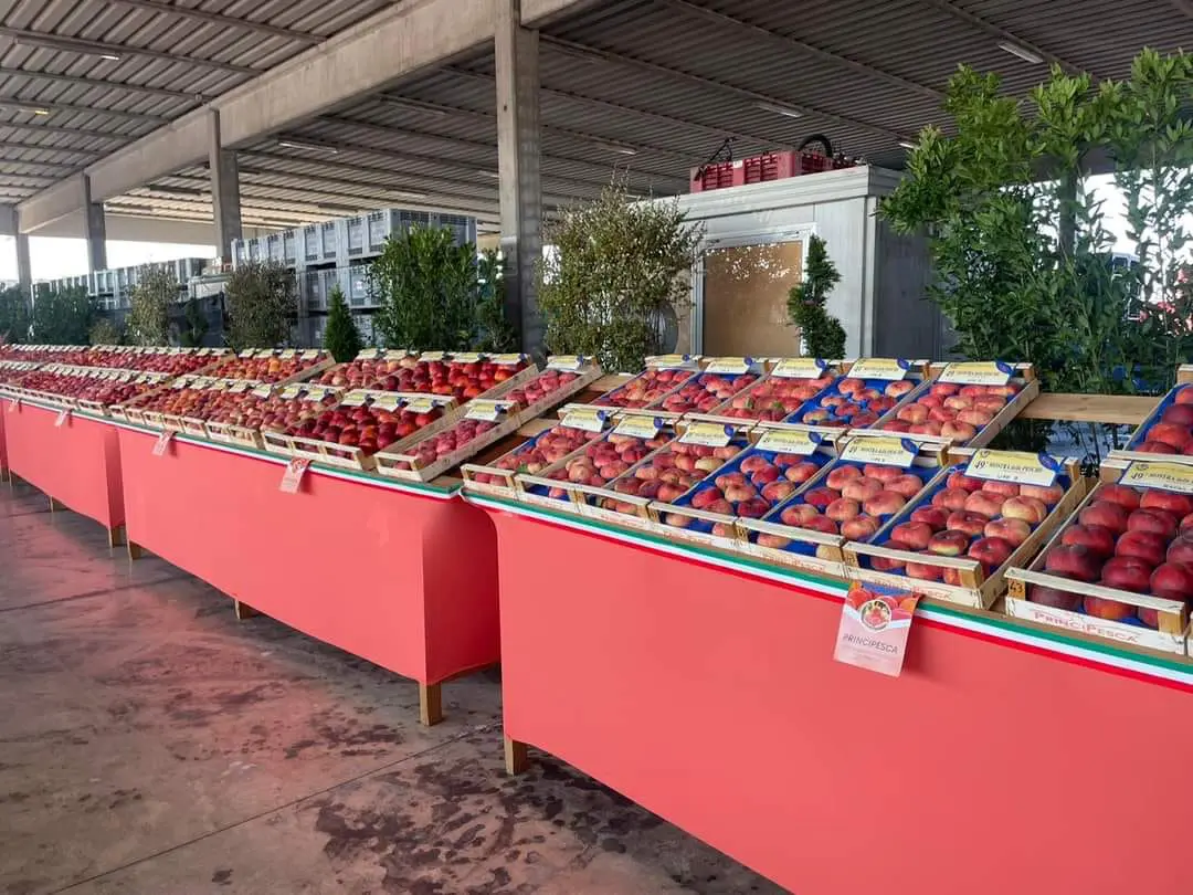 Mostra intercomunale delle pesche