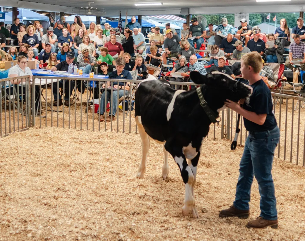 Schuylkill County Fair