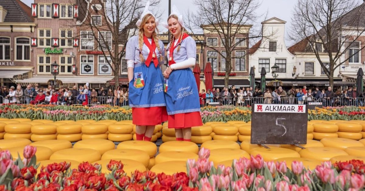 Cheese Market Alkmaar