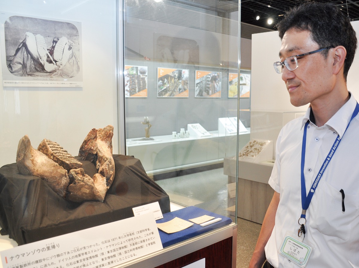 特別展示「未来へつなぐ博物館」