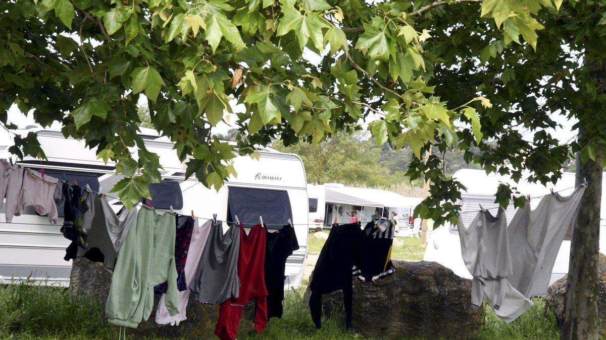 Fête du cheval