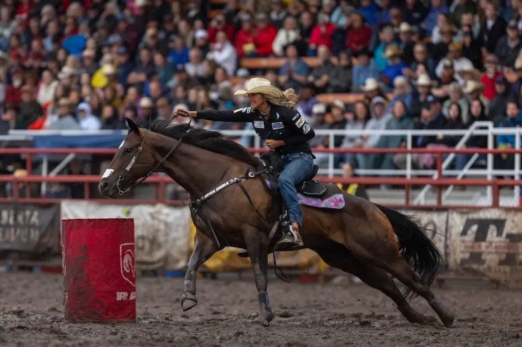 Ponoka Stampede