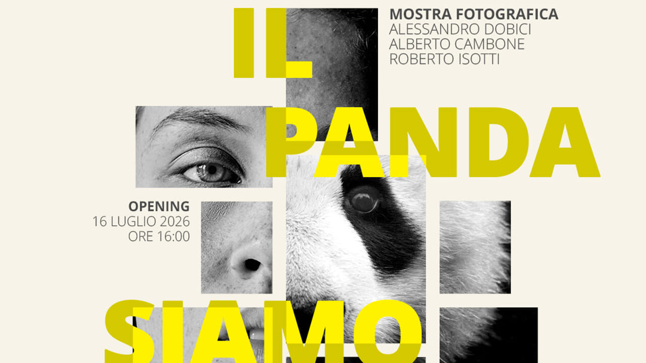 Il Panda siamo noi