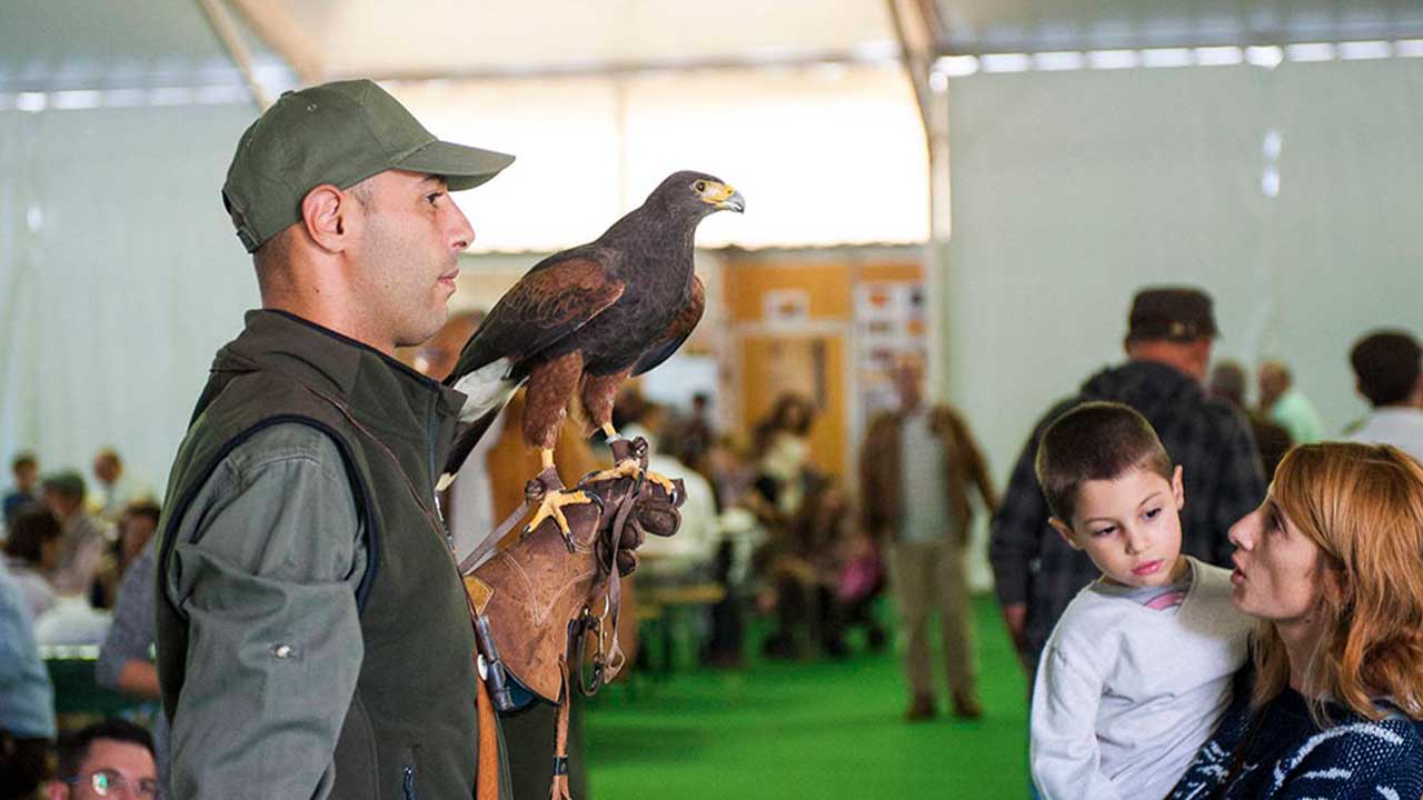 XVII Feira da Caça de Mértola