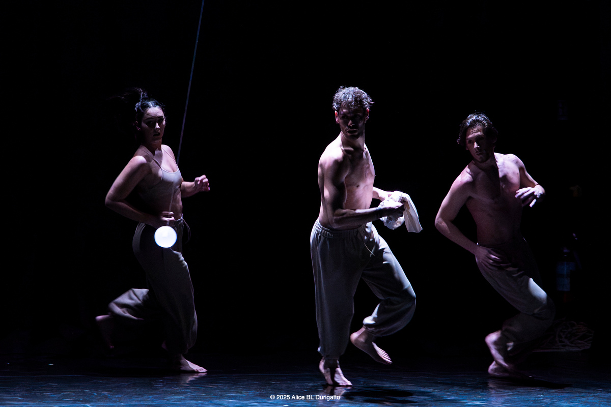 Festival Visioni di Danza