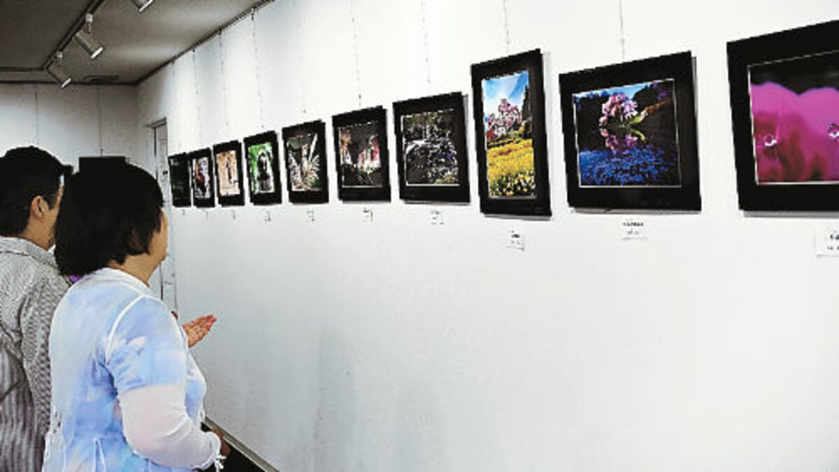 写真倶楽部かずら会 写真展