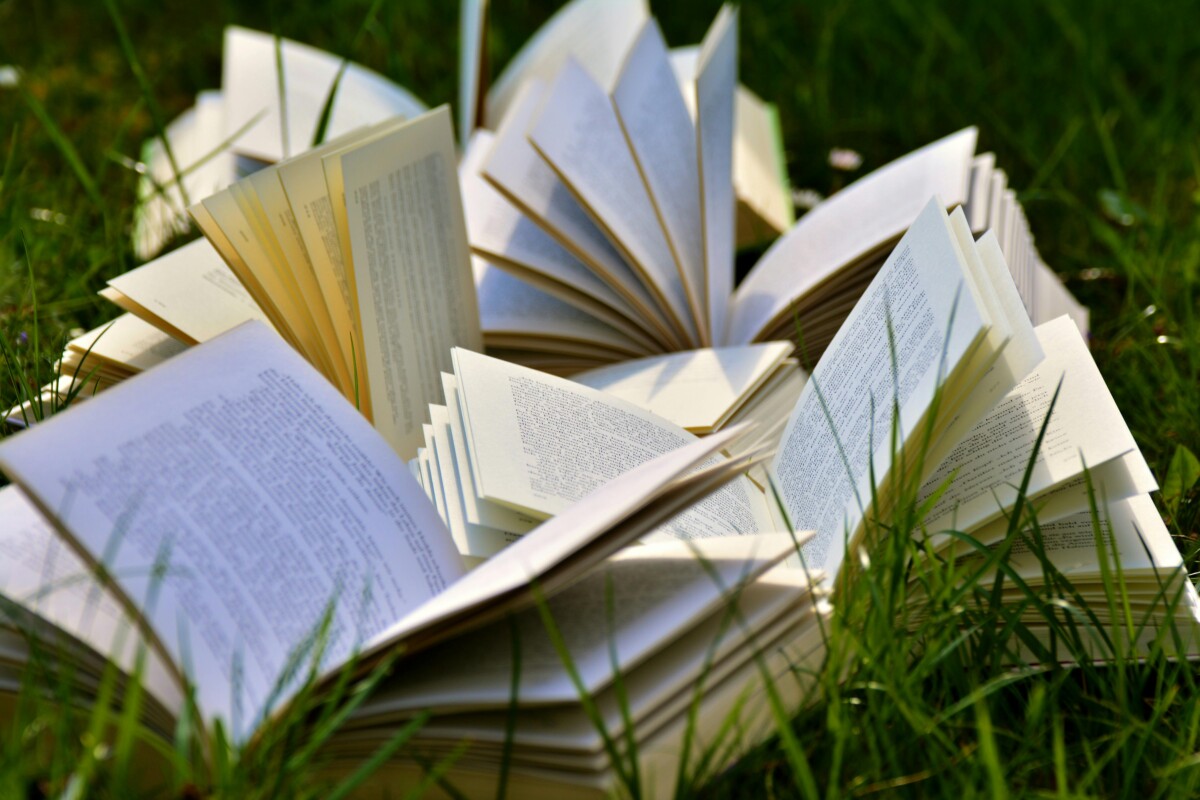 Feira do Livro e Festival Literário Internacional de Viseu (FLIV)
