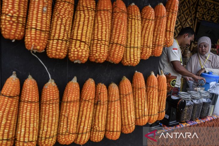 Pameran hasil pertanian