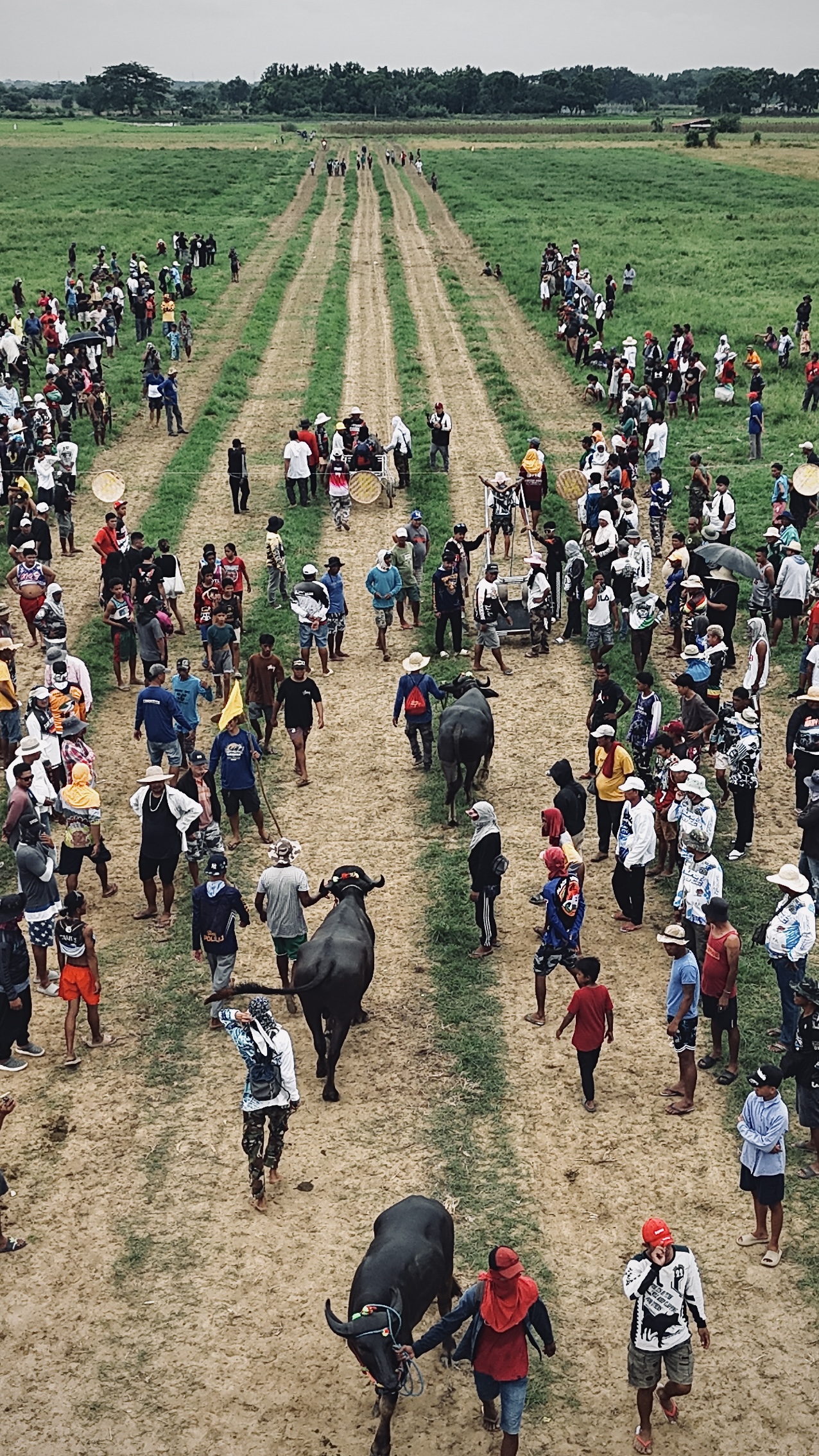 Taong Putik Festival