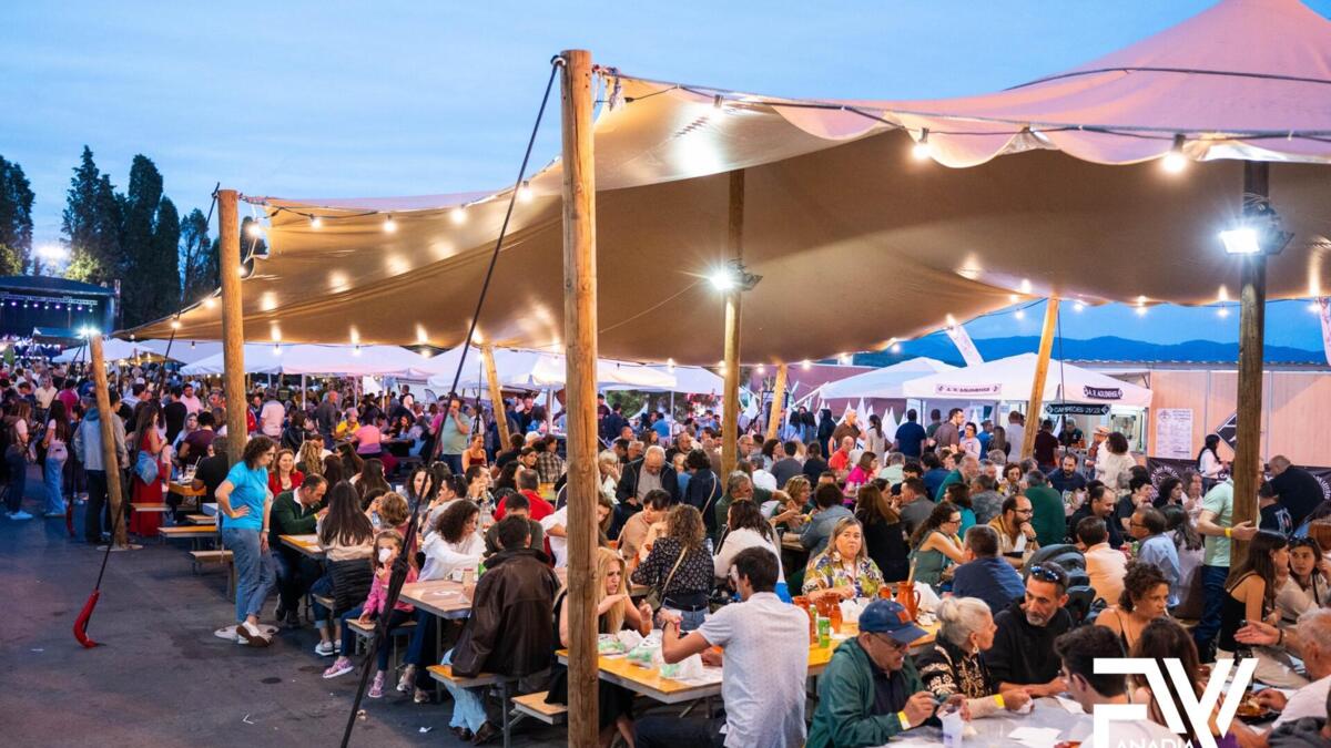 Feira da Vinha e do Vinho de Anadia