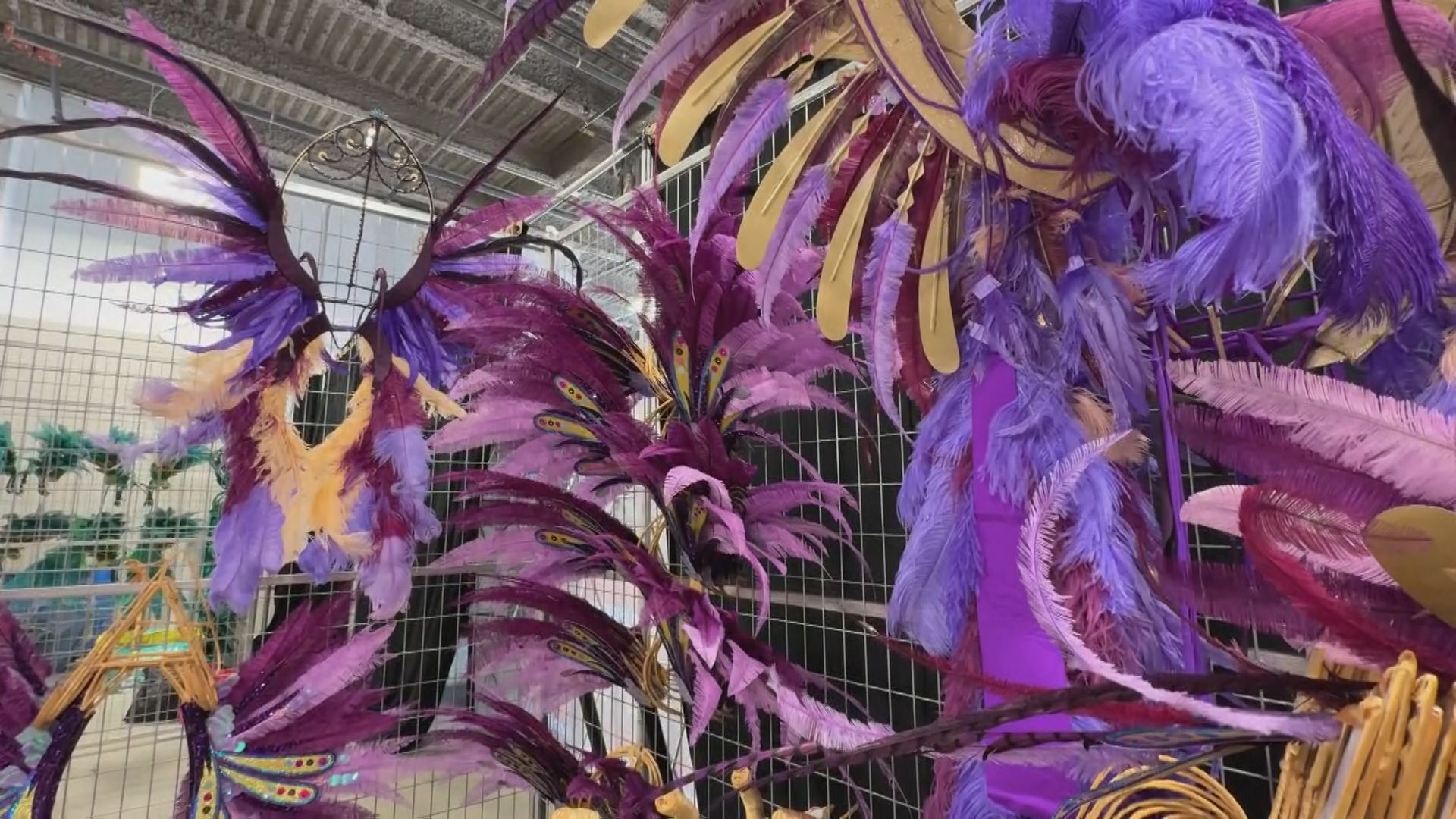 Toronto Caribbean Carnival Junior Carnival Parade