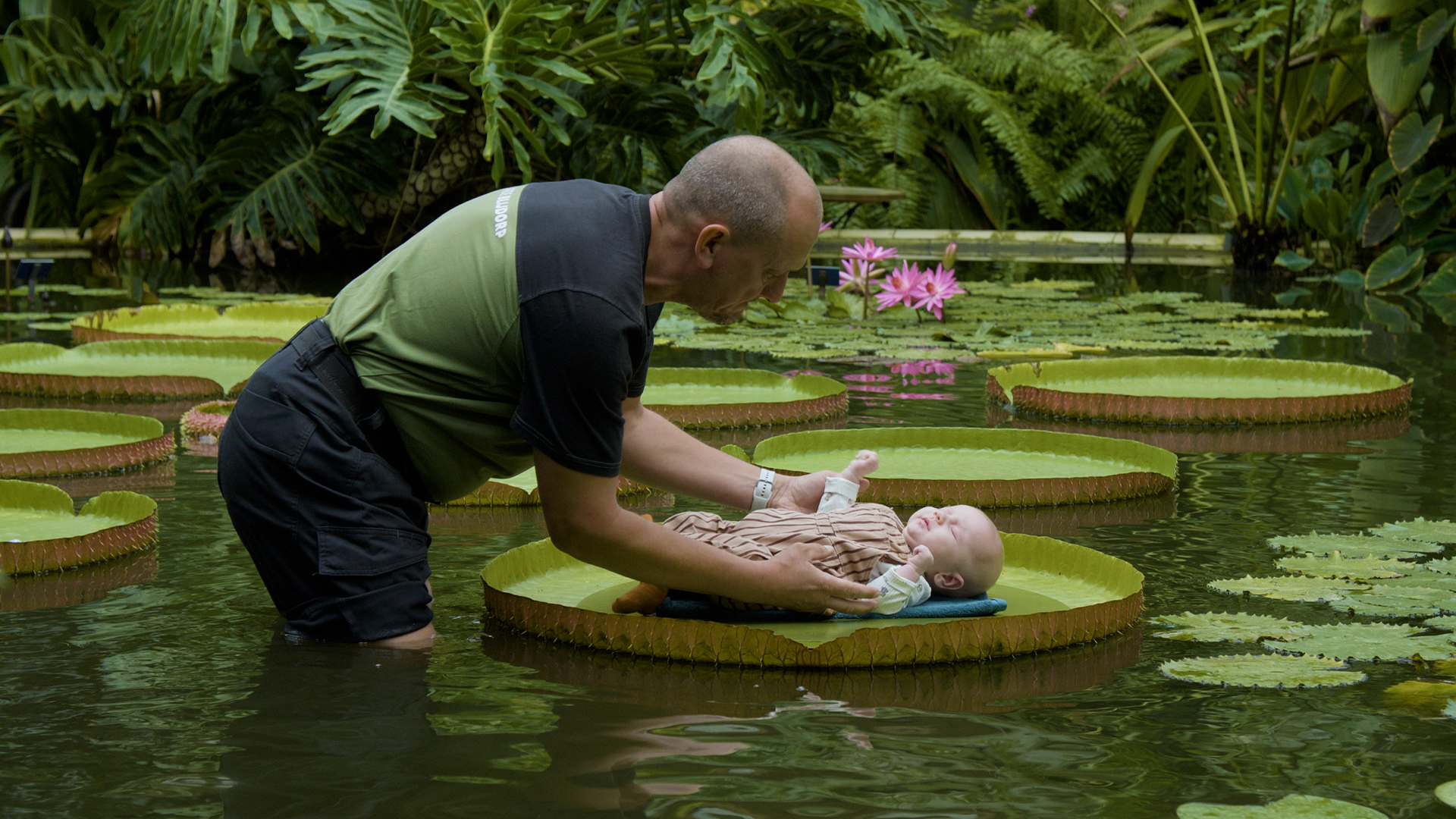 Babyfoto’s maken op de Victoria-lelie