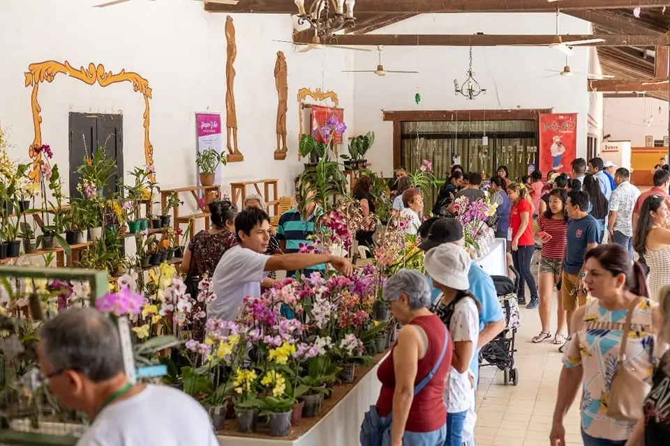 XXVI Festival de la Orquídea